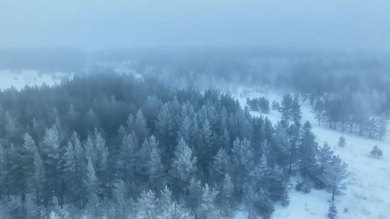 Зимнее туманное утро — Трудовое