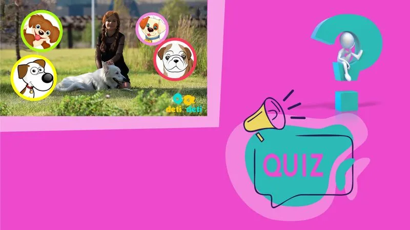 Собака. Научиться понимать собачий язык