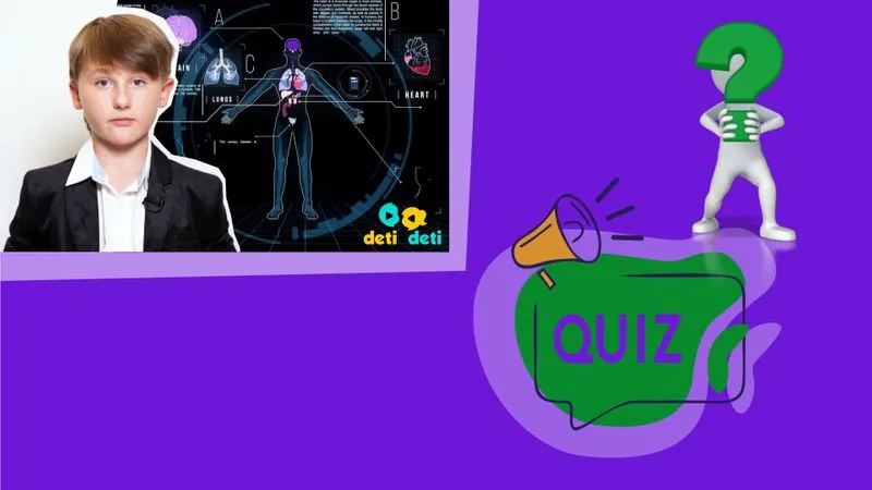 Человек. О том из чего ты состоишь