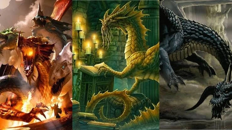 Свидетели D&D