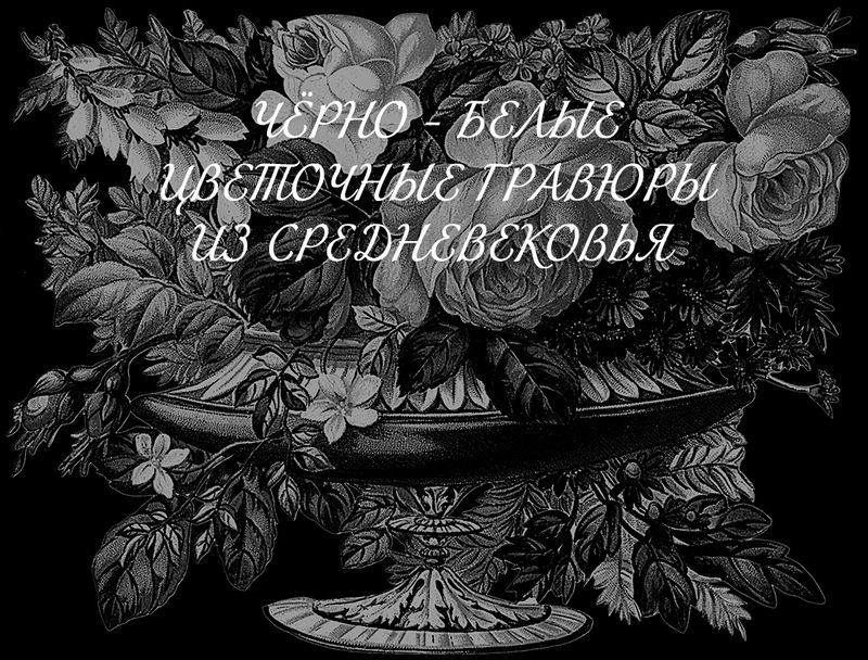 Чёрно - белые цветочные гравюры из средневековья