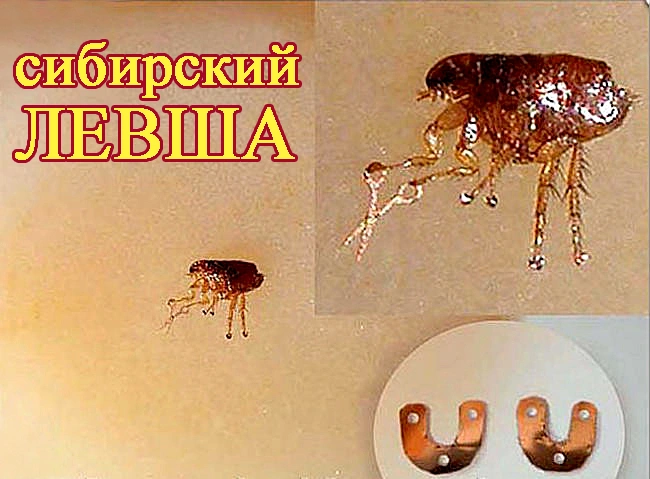 Сибирский Левша