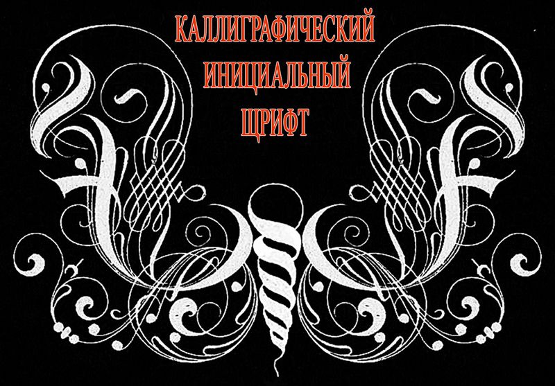 preview_image