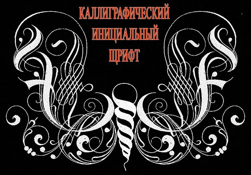 Каллиграфический инициальный шрифт