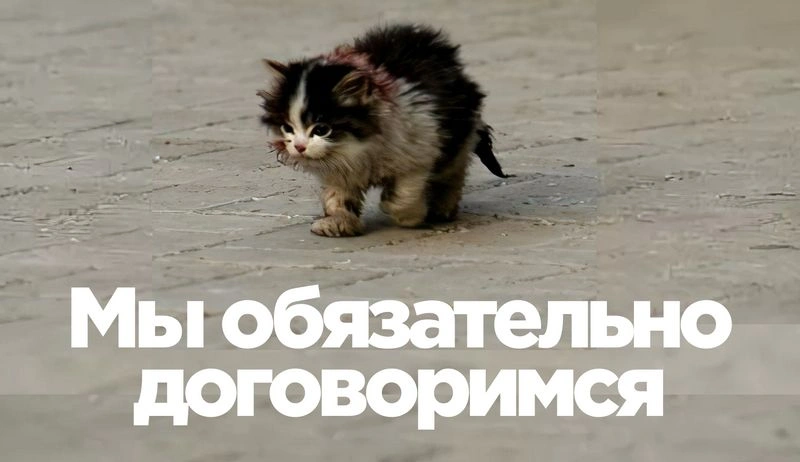 Кто сливает договорнячок?