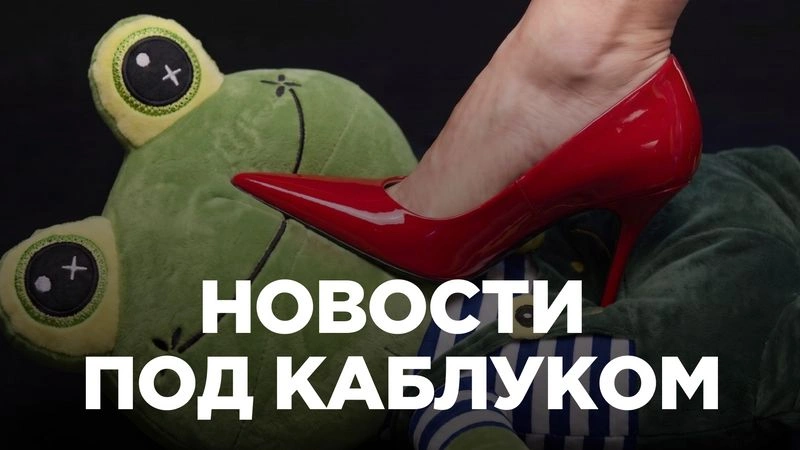 Разводы, инцелы, война с Европой и экономический крах Украины