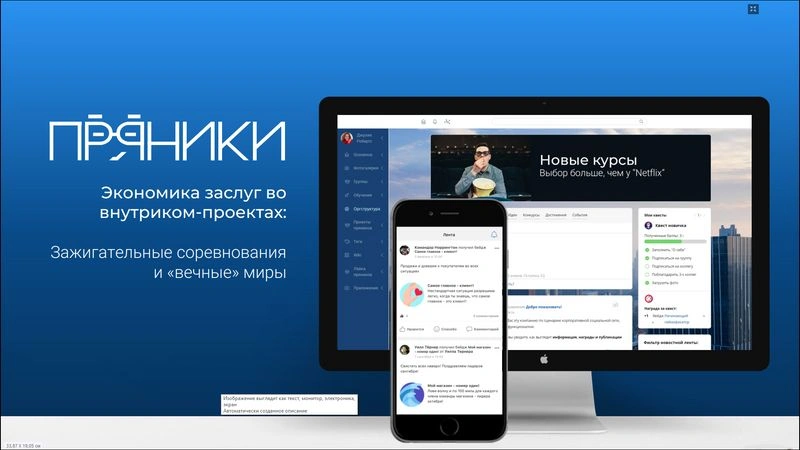 Экономика заслуг во внутриком проектах