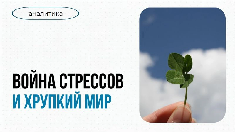Война стрессов и хрупкий мир: как удержать команду в эпоху тревожности