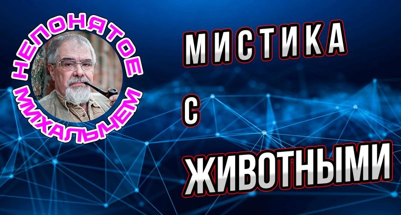 Мистика с животными