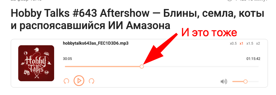 Аудиоплеер Sponsr