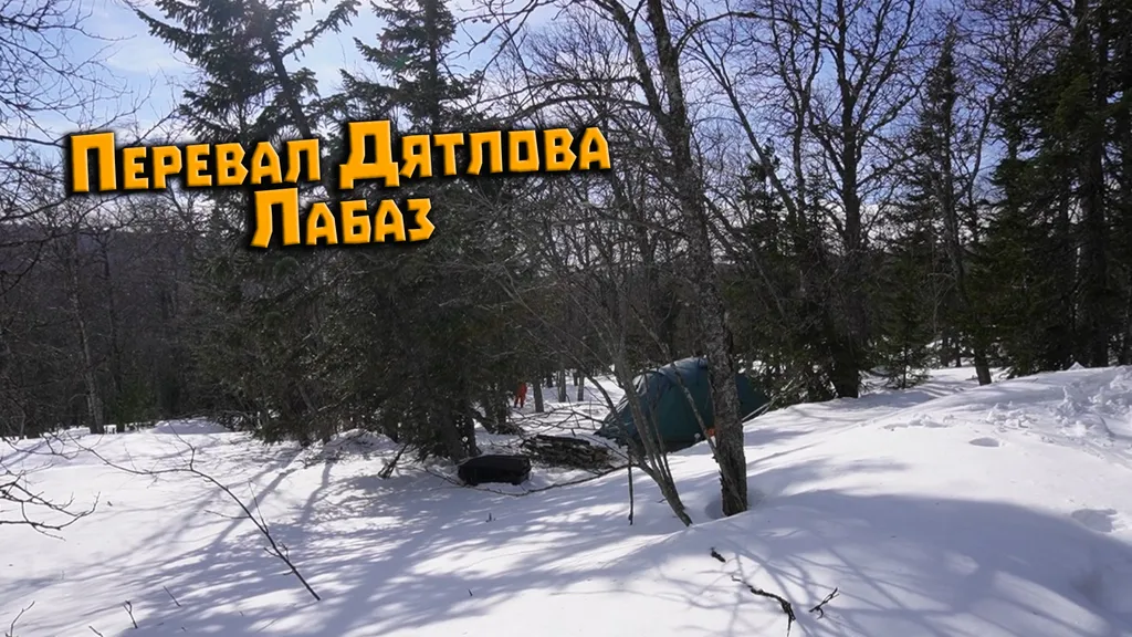 Экспедиция на перевал Дятлова. Март 2023. Прогал у лабаза. Ищу дерево вилку