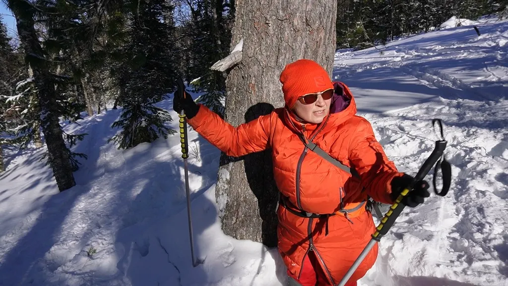 Экспедиция на перевал Дятлова. Ещё немного видео у кедра. Март 2023.