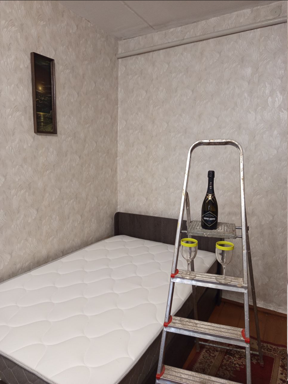 Фото автора статьи. «Рады -рады чистые обои и кровать-диван тоже очень рад!»