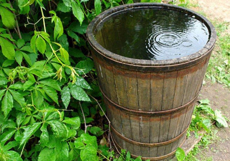 Бочка. В ней спасались от жары ребятишки.