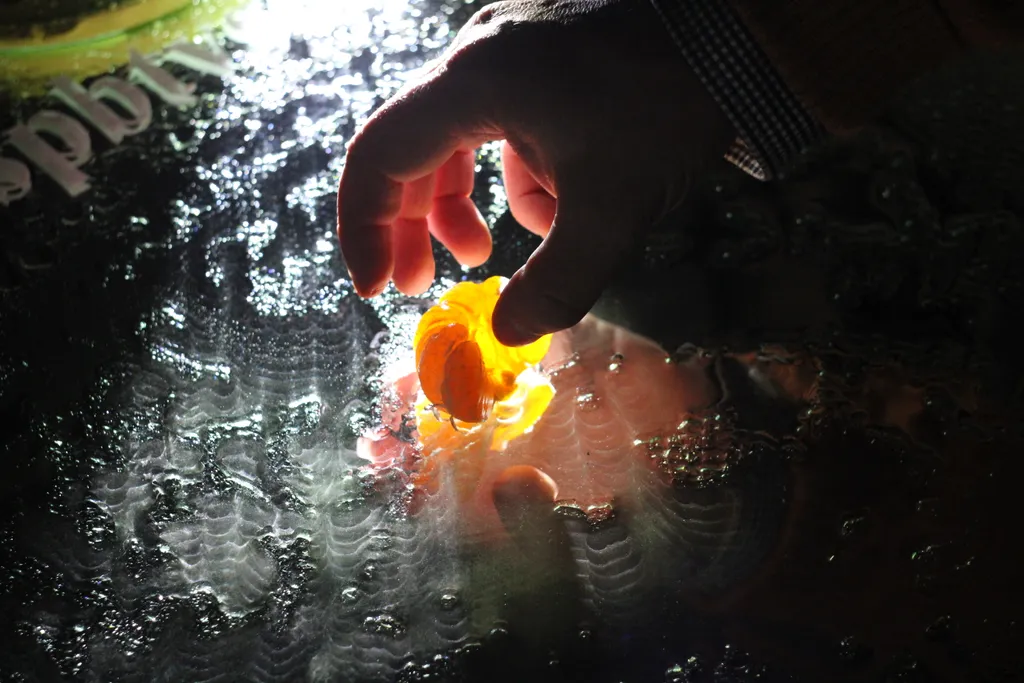 Фото.Авторская работа автора данной статьи.(Творческая личность проекта «Говорит и показывает телевизор»)