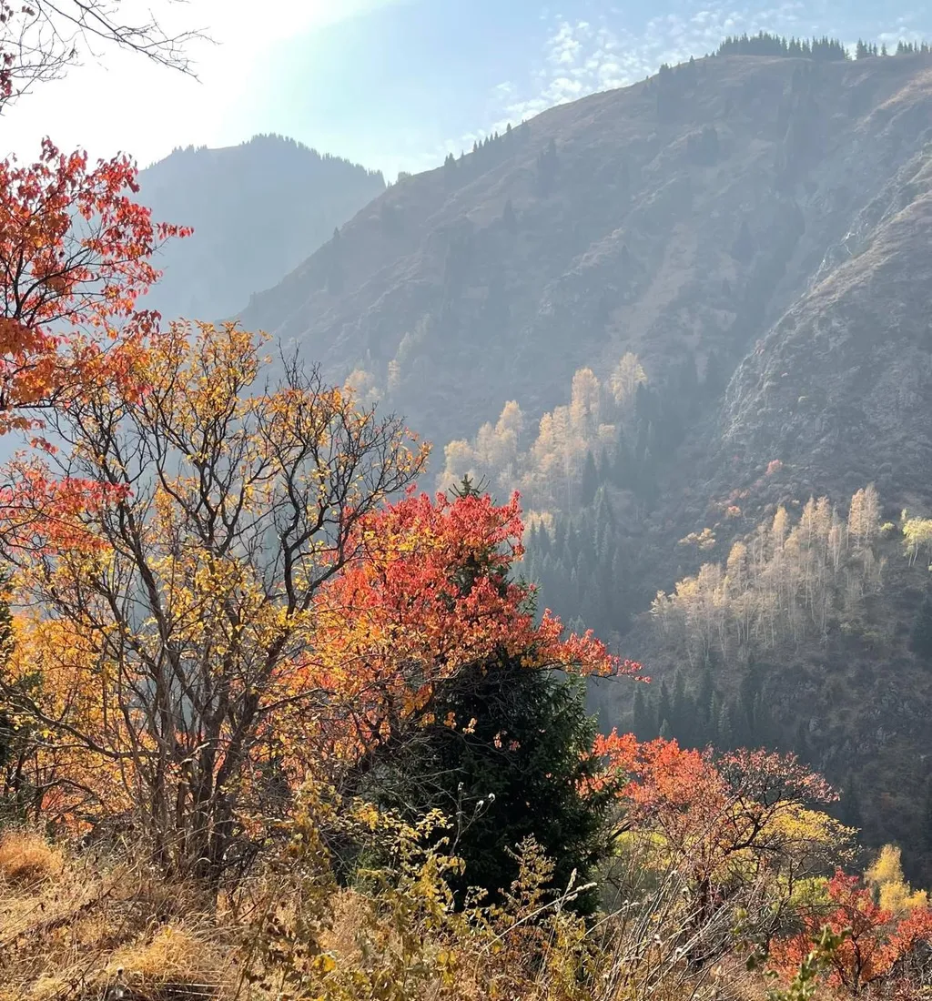 Всполохами.