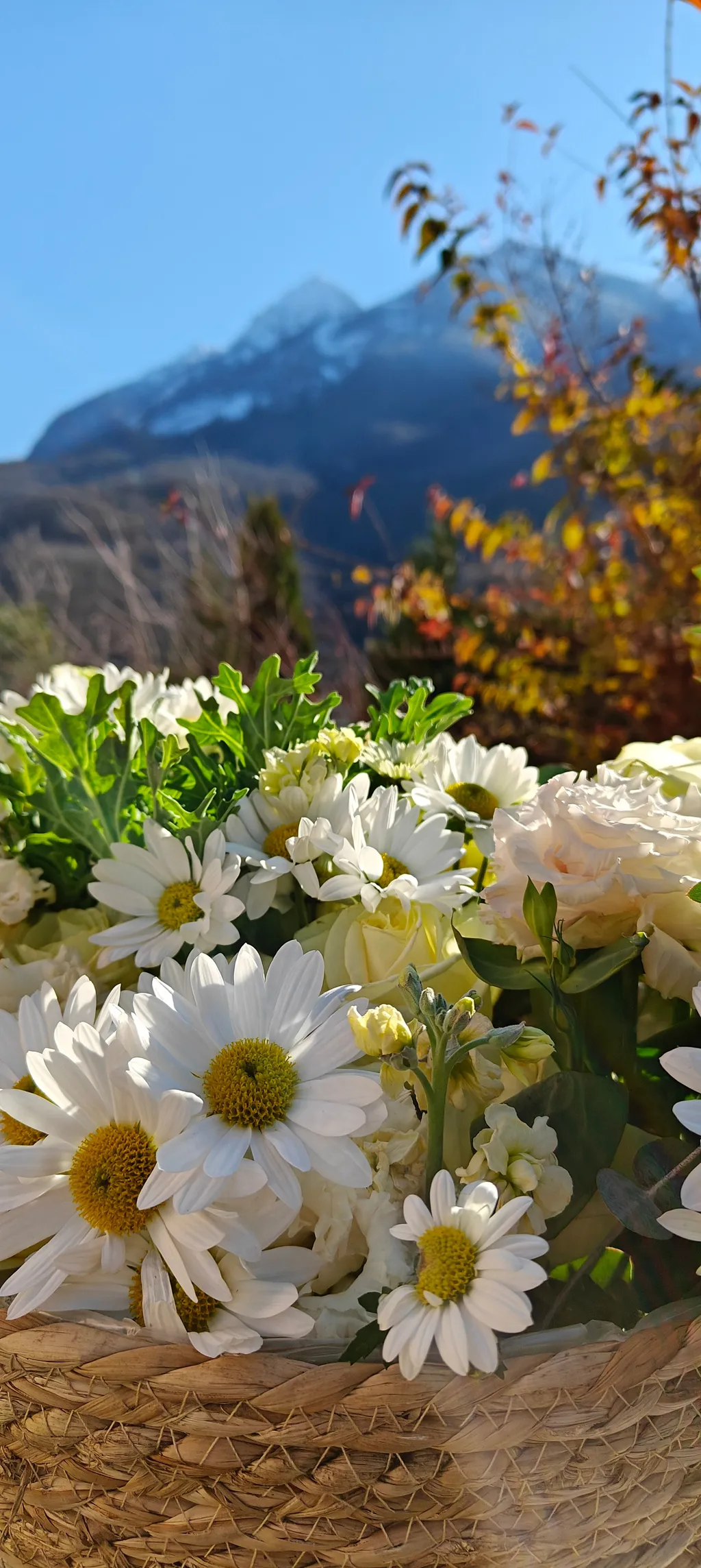 Воздуха и цвета.
