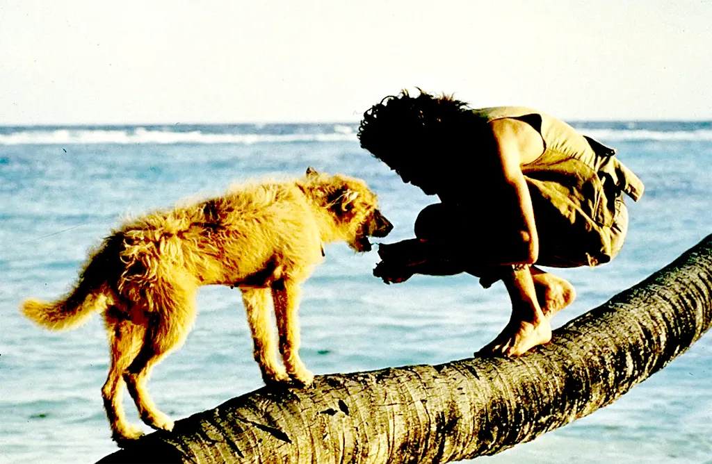 Пленник безлюдного острова. Фото из открытых источников