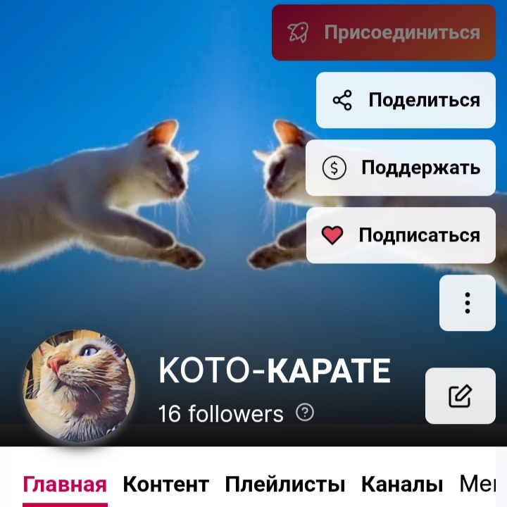 ЭКСТРЕННАЯ ПОДПИСКА!