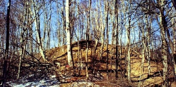 Лес в районе Улус-Керта. Примерно так выглядел последний пейзаж, что увидели бойцы 6-й роты