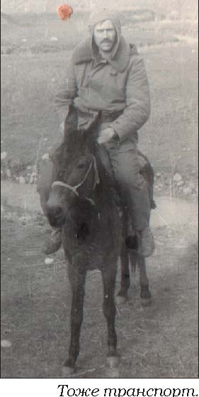 Советский всадник и начальство, губящее хорошие идеи