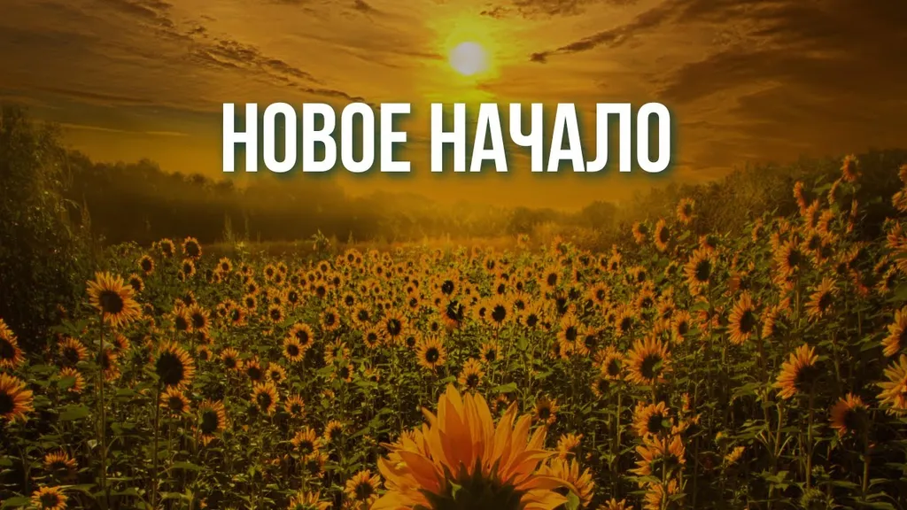 Новое начало