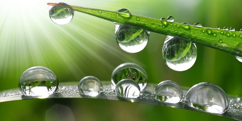 Как роса от Господа