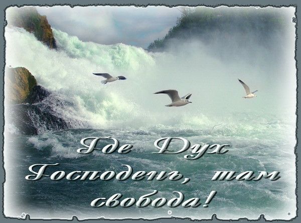 Свобода и ограничение