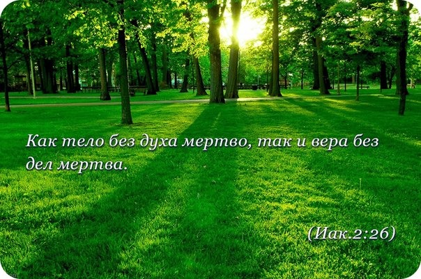 Послание Иакова (ч.20): Вера и дела, ч.2 (2:18-26)