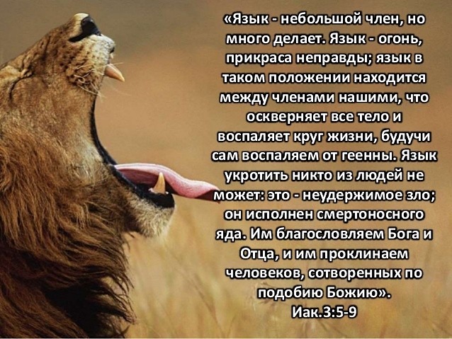Послание Иакова (ч.21): Укрощение языка (3:1-12)