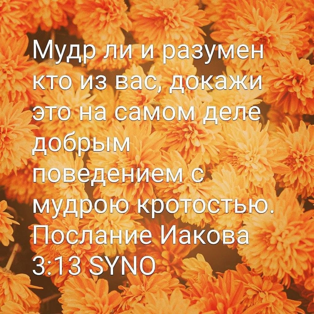 Послание Иакова (ч.22): Истинно мудрый учитель (3:13-18)