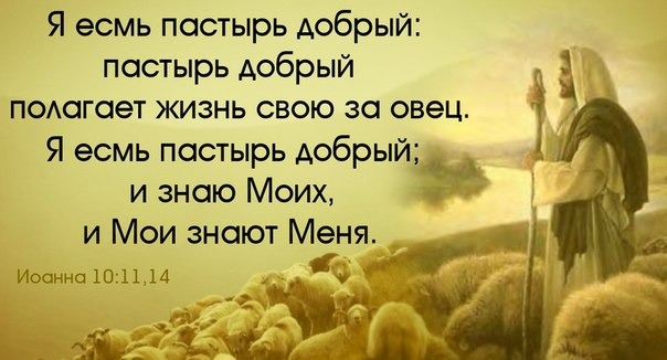 Забота Пастыря