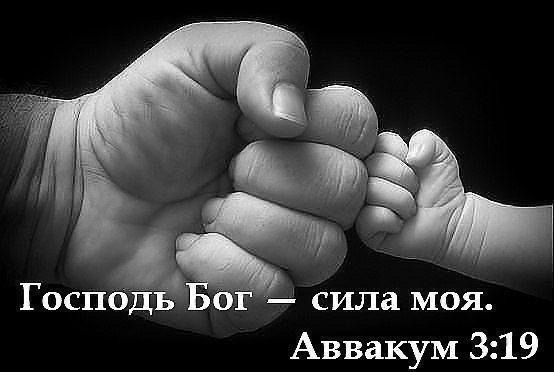 Конец сомнениям