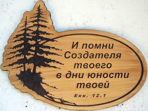 Никто да не пренебрегает юностью твоей