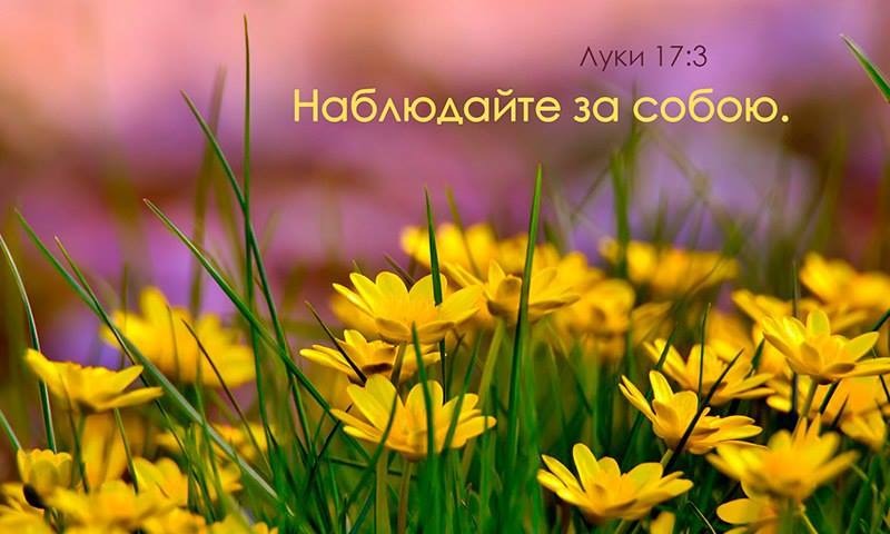 Требуется исправить отношение