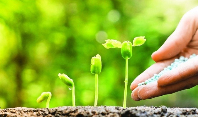 Помогайте духовному росту