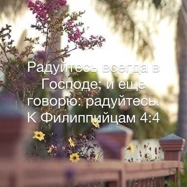 Радость в доме