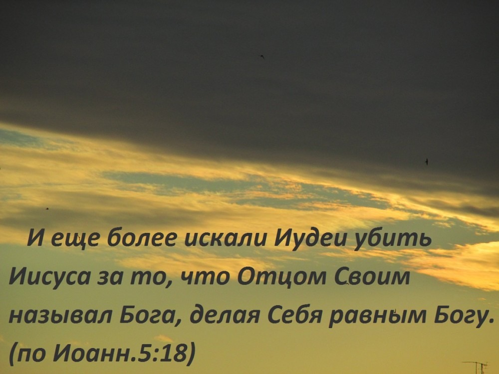 Евангелие от Иоанна (ч.28): Сын и Отец (Ин. 5:17–23)