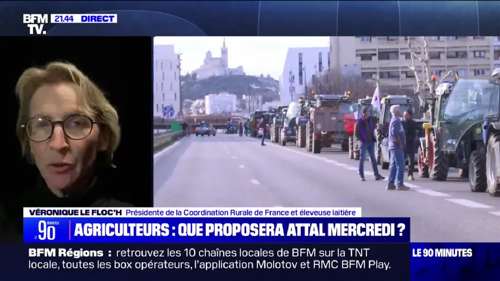 Вероник Ле Флок. Скриншот с сайта BFM TV.