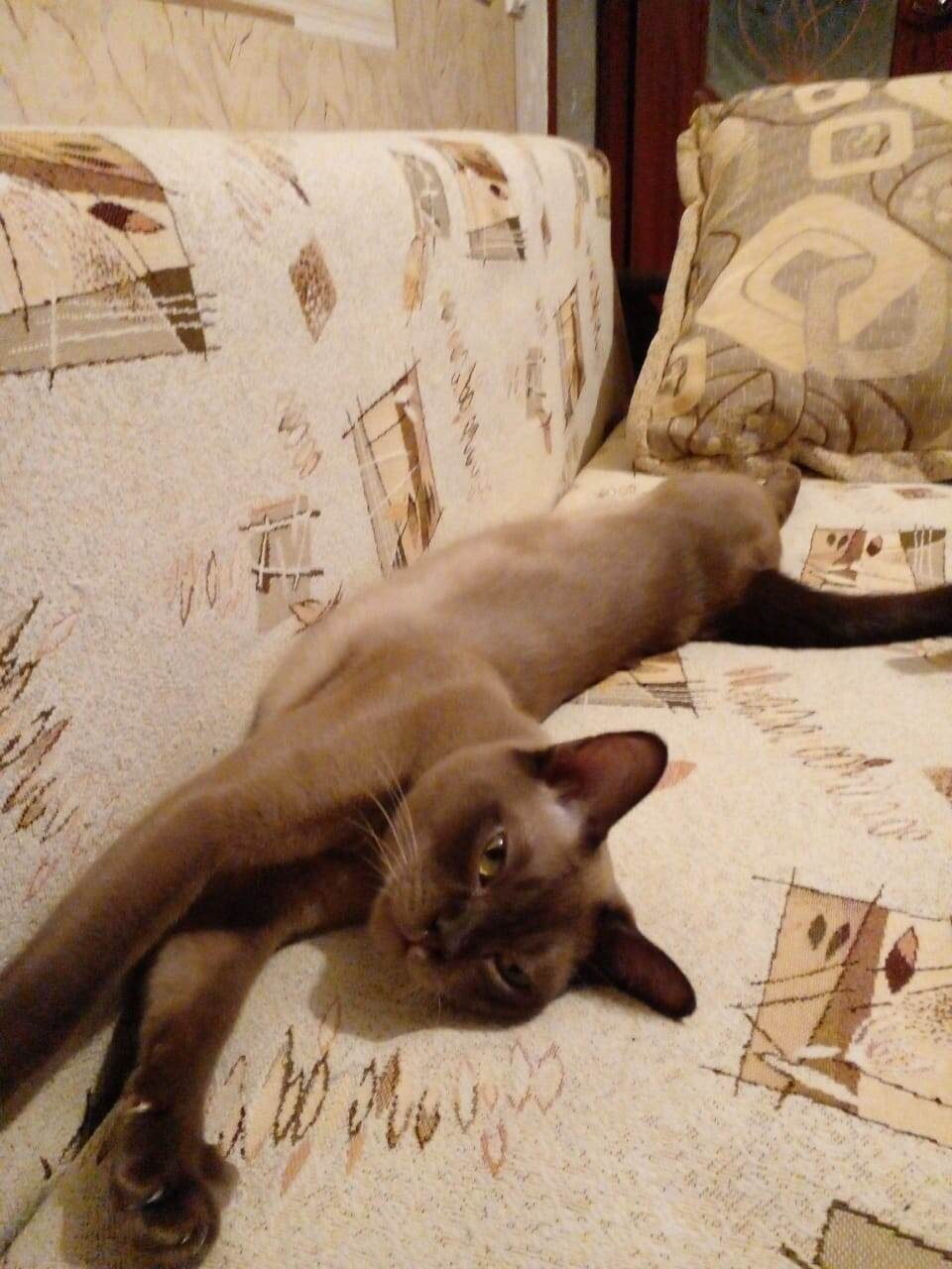 "В городе мне жить или на выселках? Камнем лежать или гореть звездой? Звездой". Фото Соломона из личной коллекции