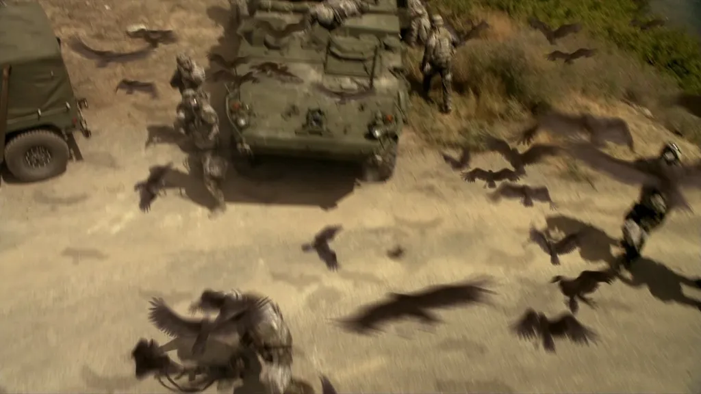 Птицы атакуют военных... Полный бред!