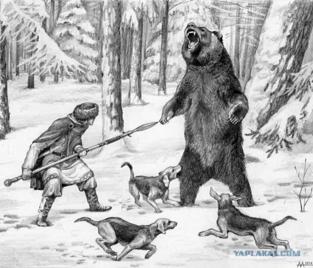 Ставлю на человека...