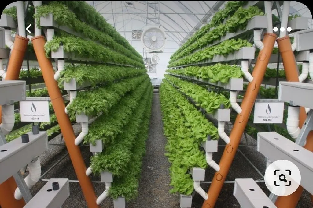 На первых порах гидропоника может помочь с растительной пищей...