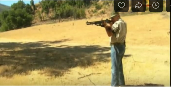 Стрелял он, и дробью, и картечью и жаканом. Эффект был... сокрушительный...