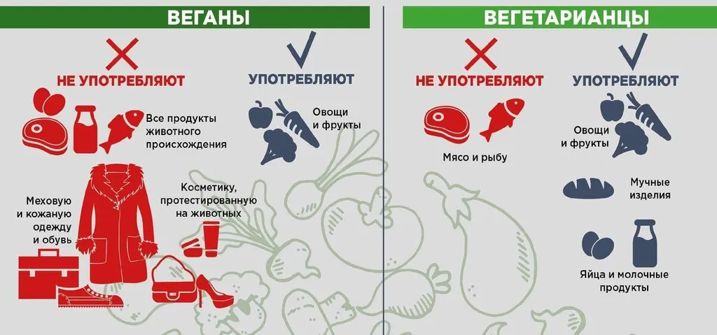 Веган — это… я даже не знаю, как назвать…