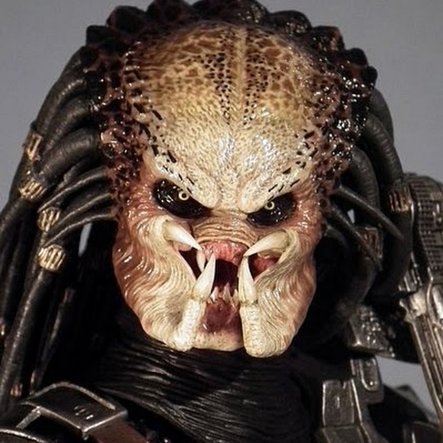 Симпатичное и выразительное лицо!