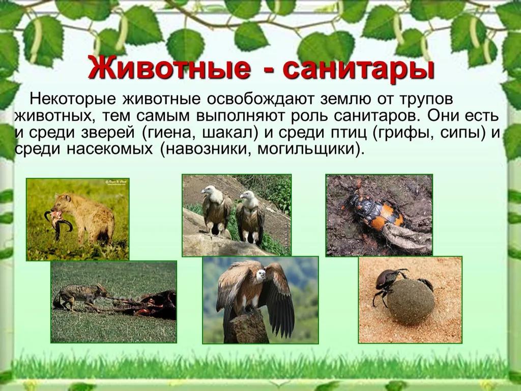 Почему-то, я про это знаю. А вот писатель Саймак о таких вещах даже не думал!