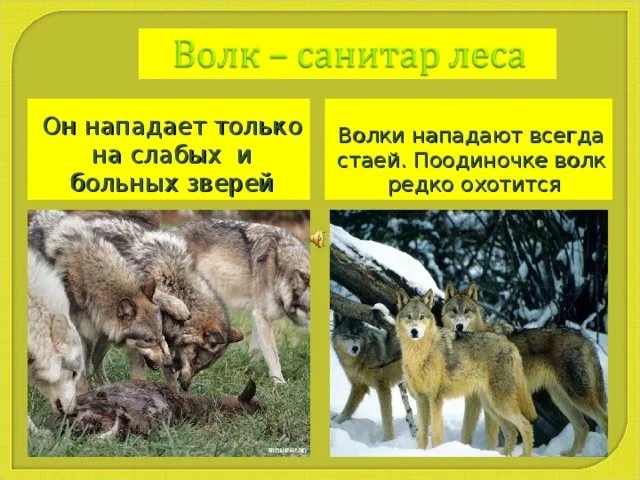 Тут и так всё понятно, наверное?