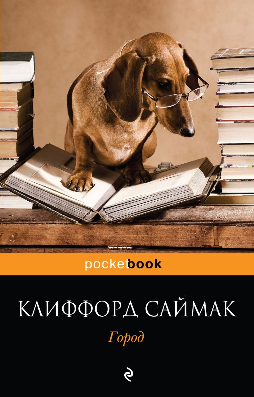 Умная такса?