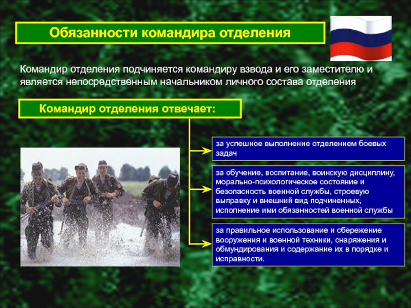 Это про нашу армию, но, в общем-то, всё верно...